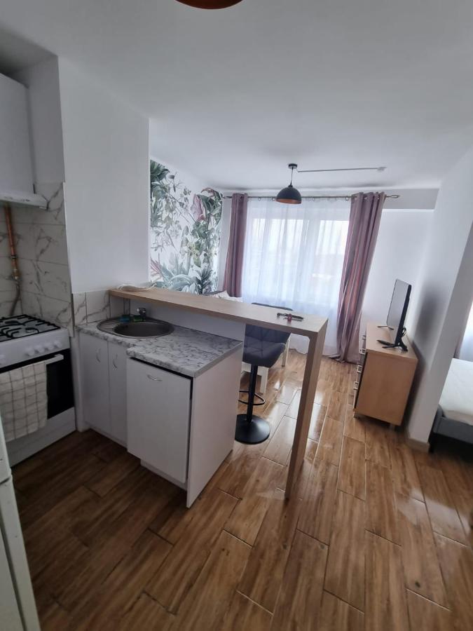 Kawalerka Blisko Jeziora Apartment โอเลสโก ภายนอก รูปภาพ